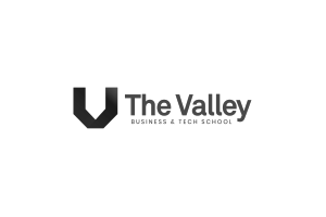 THE VALLEY